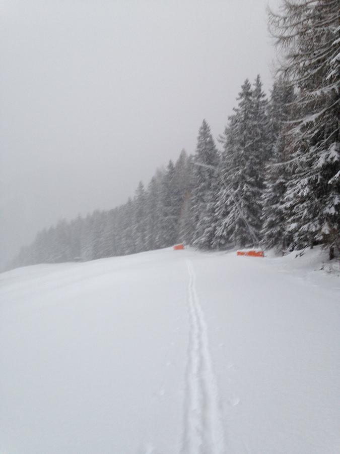 Simonbauerhof Βίλα Bad Kleinkirchheim Εξωτερικό φωτογραφία