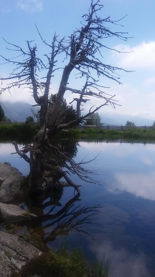 Simonbauerhof Βίλα Bad Kleinkirchheim Εξωτερικό φωτογραφία