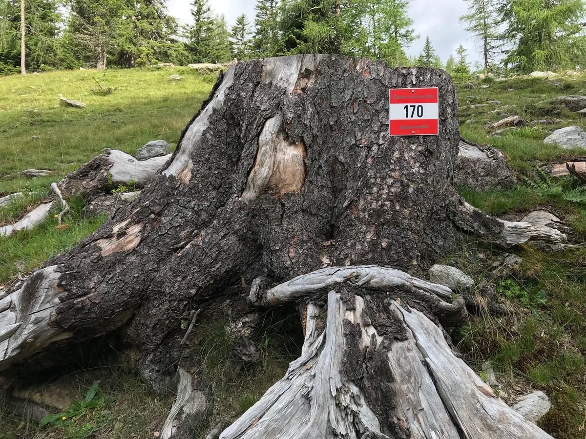Simonbauerhof Βίλα Bad Kleinkirchheim Εξωτερικό φωτογραφία