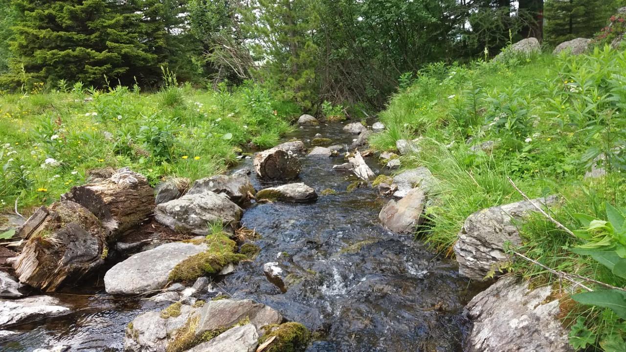 Simonbauerhof Βίλα Bad Kleinkirchheim Εξωτερικό φωτογραφία