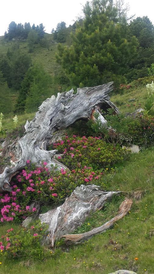 Simonbauerhof Βίλα Bad Kleinkirchheim Εξωτερικό φωτογραφία