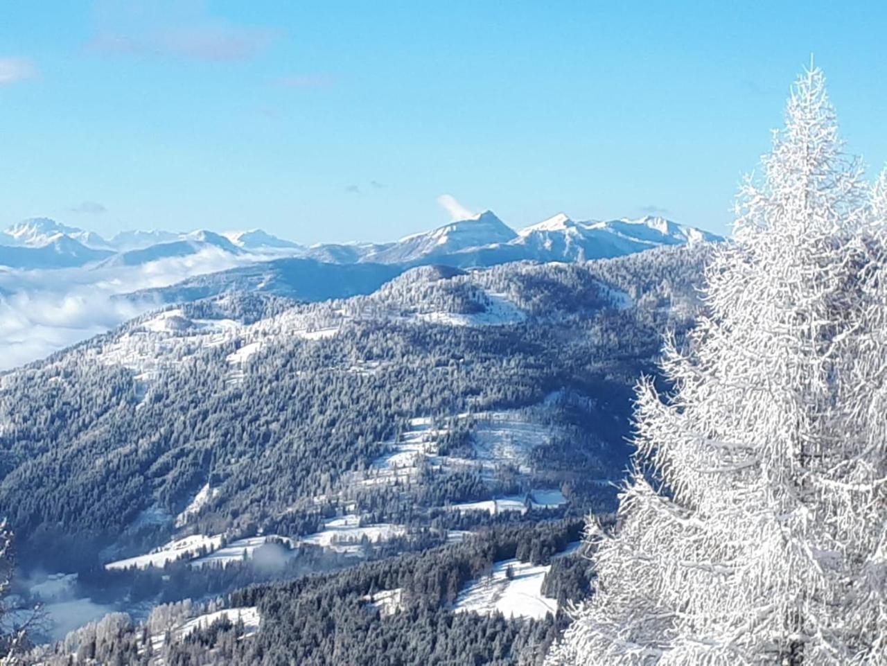 Simonbauerhof Βίλα Bad Kleinkirchheim Εξωτερικό φωτογραφία