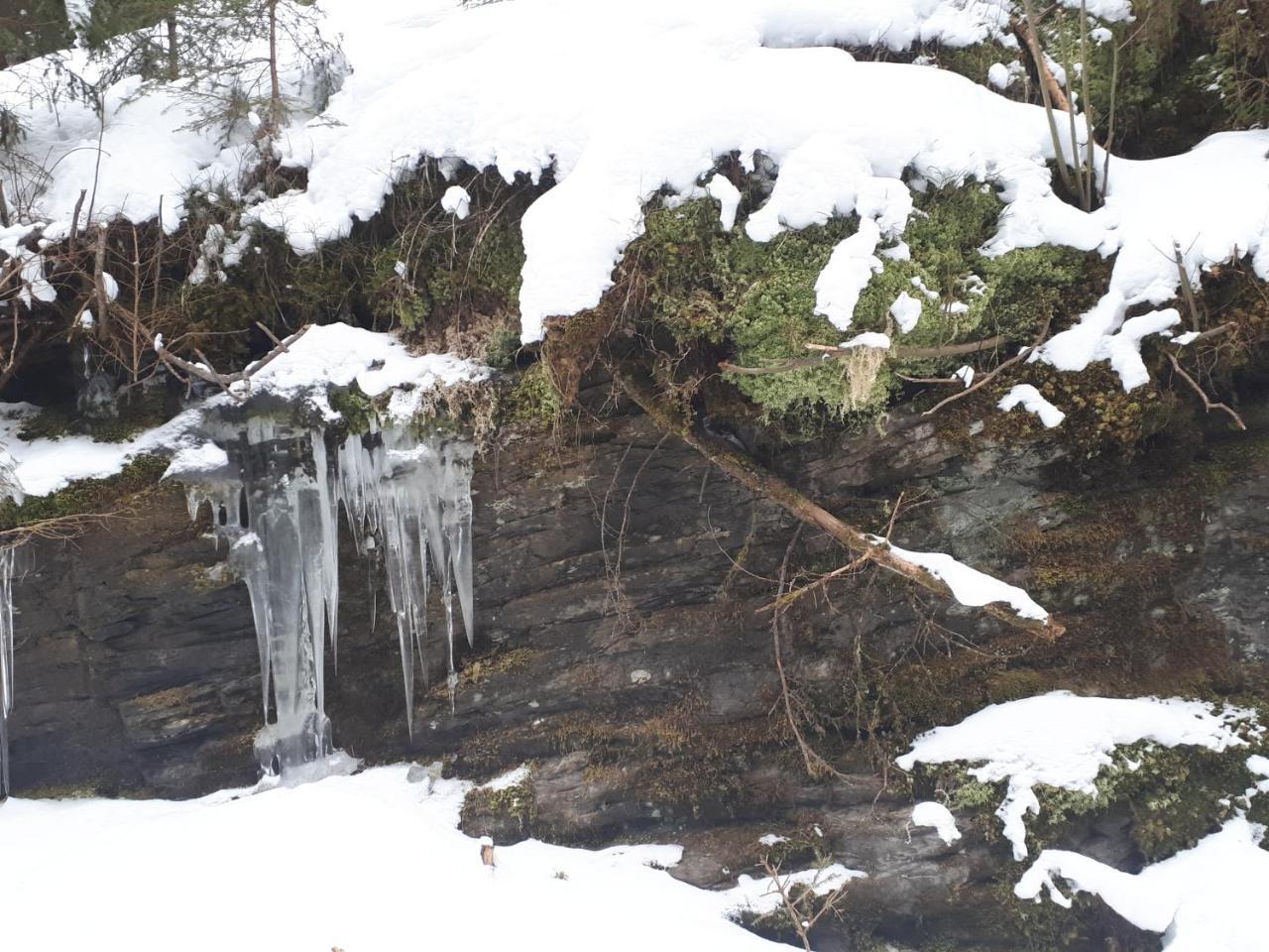 Simonbauerhof Βίλα Bad Kleinkirchheim Εξωτερικό φωτογραφία