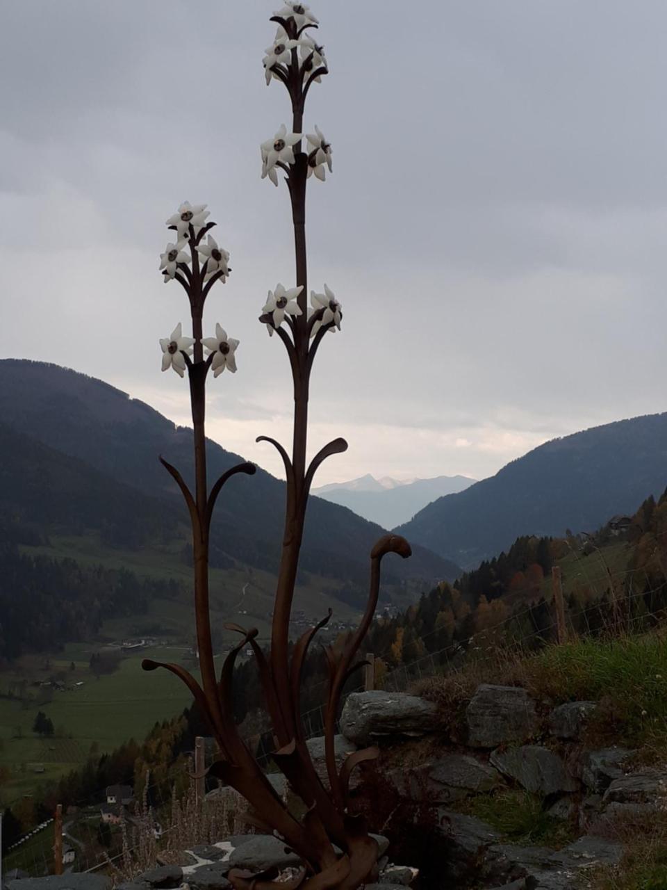 Simonbauerhof Βίλα Bad Kleinkirchheim Εξωτερικό φωτογραφία